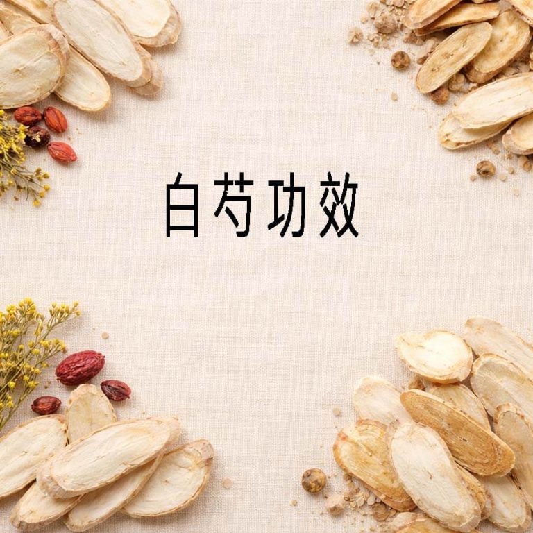 白芍功效有哪些?補血止痛、禁忌與用藥注意一次看 4 白芍功效