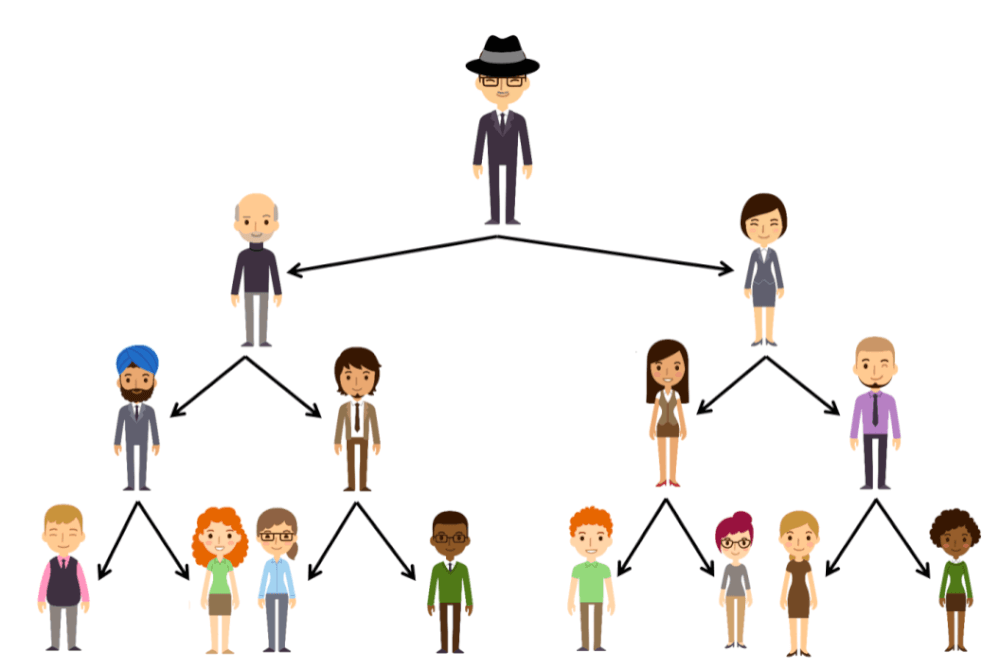 艾多美組織說明